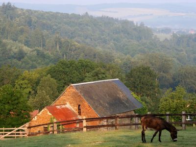 bauernhof in der normandie mit esel wanderung