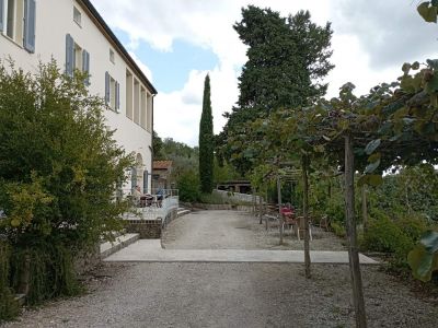 weinreben terrasse bio landhaus toskana