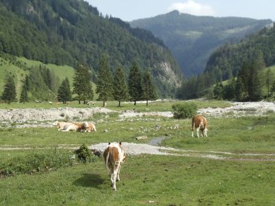 Familienwanderung St. Wolfgang sterreich