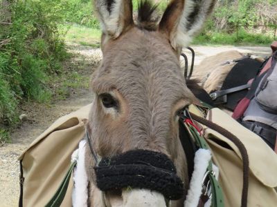 eselwandern toskana mit kindern