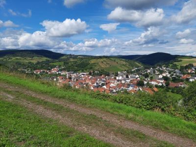 wandern in rheinland pfalz monzinger frhlingspltzchen