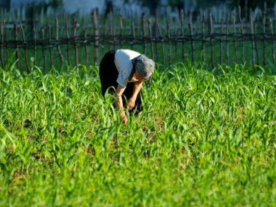 Landwirtschaft Albanien Wandern Einheimische