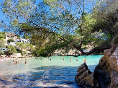 familienurlaub mallorca direkt am strand hotel appartement