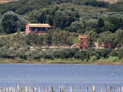 Bio-Bauernhof Agrotourismus Korfu - Haus 