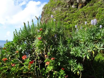 Aktivurlaub auf Madeira 