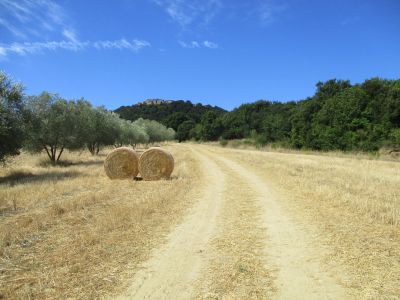 toskana urlaub mit familie aktiv