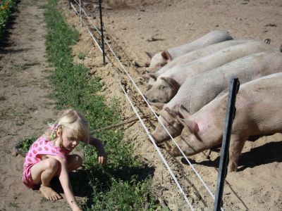 ferien auf oeland in schweden familienzeit mit tieren