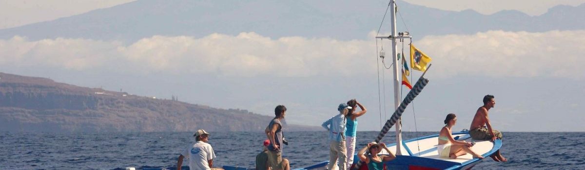 whale watching oceano la gomera kanaren 