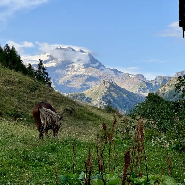 Bergwandern ohne Gepck im Valle del Lys - Aostatal