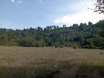 Wanderung bers Gras