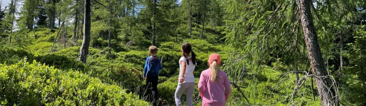 familienurlaub wandern mit kind oesterreich kaernten