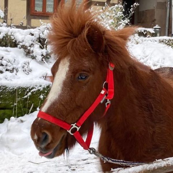 Bio-Pension im Dreil�ndereck - Niedersachsen