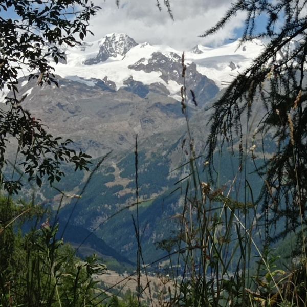 Genusswandern ohne Gepck in den Bergen des Val dAyas - Aostatal