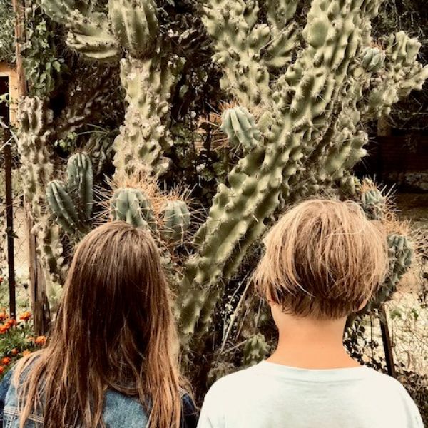 Im Honigtal auf Korfu - Familienurlaub Griechenland