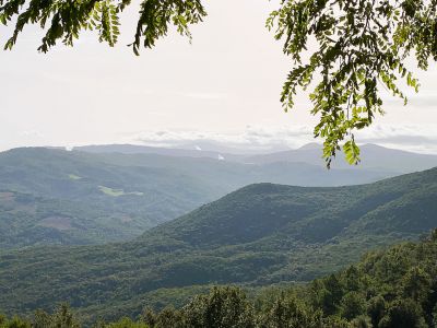 waldreiches Naturreservat Monterufoli-Caselli