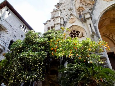 wanderwoche mallorca soller kirche