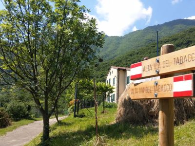 Wanderwoche individuell vom Gardasee nach Venedig