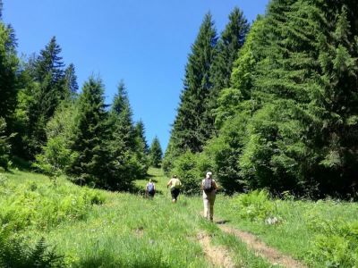 Yoga und Wander Urlaub in den deutschen Alpen