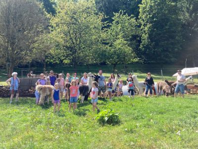 Lamas in der Frnkischen Schweiz als Ausflug mit Kindern