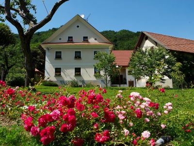 slowenien familienreise aktivurlaub zelinc bauernhof abenteuer