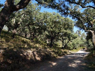 Urlaub Wandern Mountainbiken Kinder Wanderurlaub Aktivreise