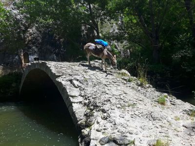 Eselwandern Abruzzen Rmerbrcke