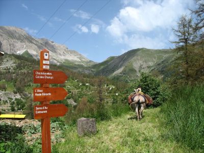 Nummerierte Wegweiser im Parc du Mercantour