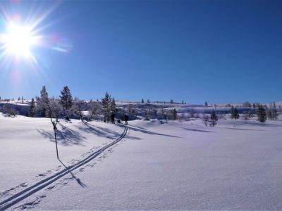 Aktivreise im Winter Schweden Idre Darlana