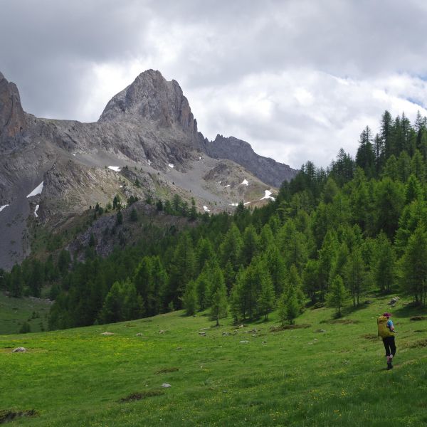 Wandern im Naturpark Queyras - S�dalpen/Frankreich