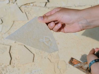 spannende geoexkursionen und fossiliensuche
