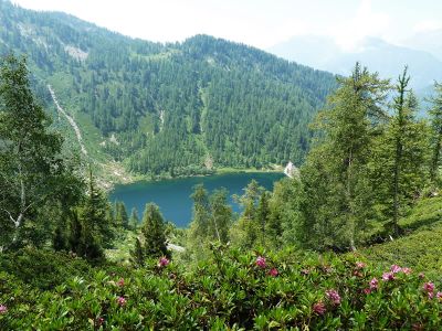 organisierte Wanderung in den italienischen Alpen