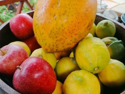 gran canaria kanaren hotel oekohotel strandhotel fuer familien