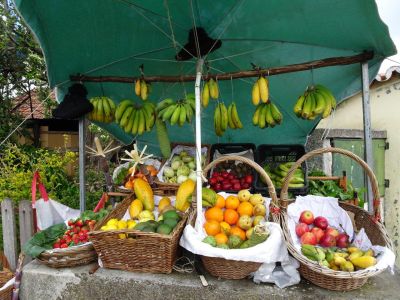 ohne Gepck individuell wandern auf Madeira 