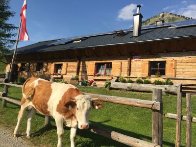 Httenwandern in sterreich: Salzkammergut Htte