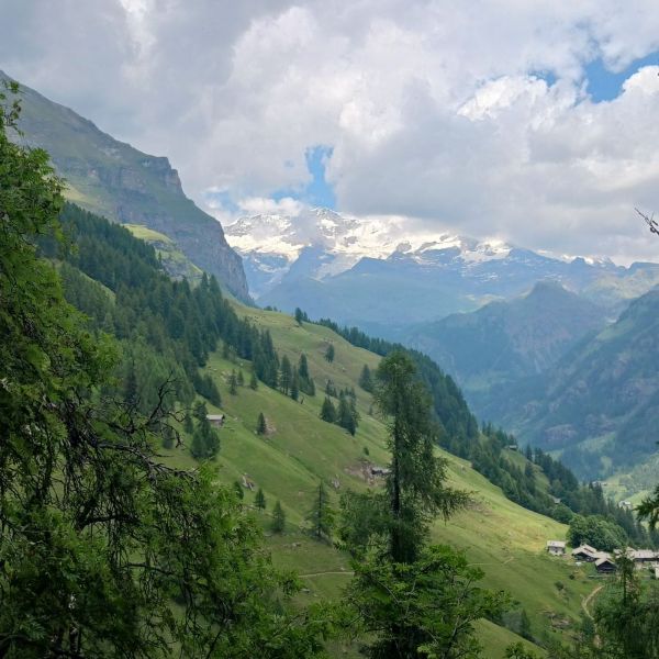 Bergwandern ohne Gep�ck im Valle del Lys - Aostatal