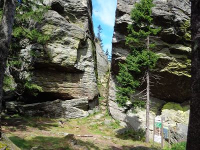 grosser fels bayerischer wald sommerurlaub