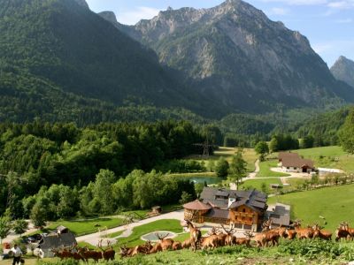 Wanderreise sterreich Wildtierpark Salzkammergut