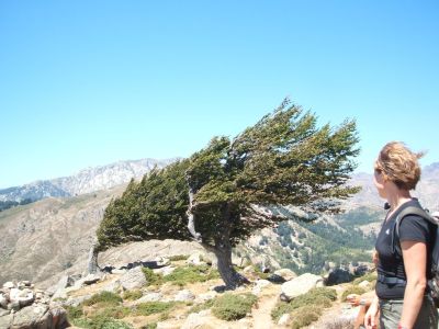 Der Wind formt die Landschaft und auch Frisuren werden nicht verschont