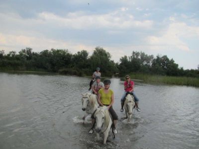 reitstunde im familienurlaub im landhaus