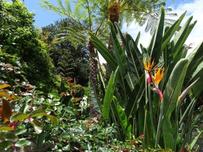 individuelle Naturreise nach Madeira