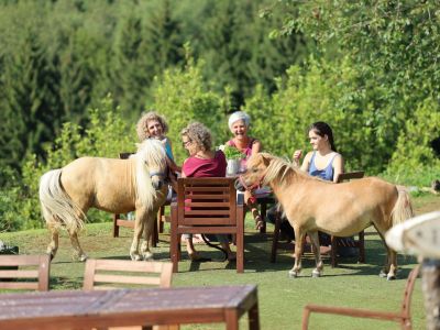 yoga urlaub auszeit muehlviertel altenfelden kleebauerhof sterreich