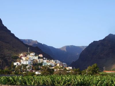 whale watching gomera valle gran rey