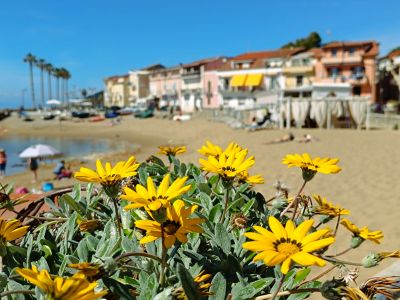 Sditalien Mittelmeer Ferienwohnung Anlage Selbstversorger direkt am Strand