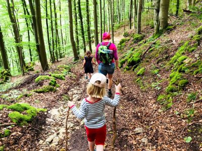 Familienwandeurung um Eschenbach in Franken Waldweg