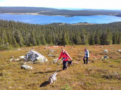 Familienurlaub Huskyfarm Schweden Lappland Wanderung