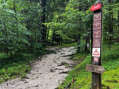 Slowenien Mischwald Wanderreise Triglav Nationalpark