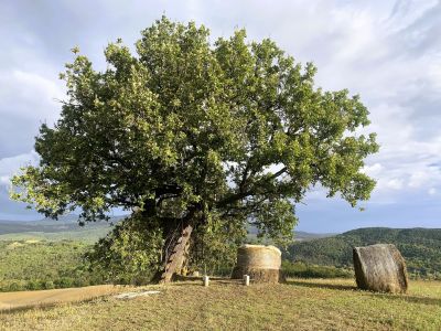 Agriturismo Le Querce: landestypisch wohnen