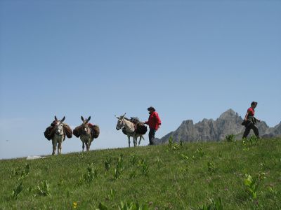 Col des Champs im Parc du Mercanour.