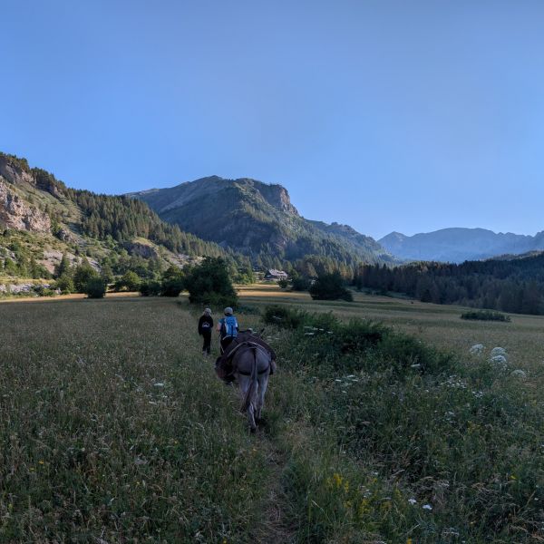 Eselwandern in Frankreich - Provence -  S�dalpen