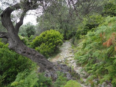 albanien wandern individuell wanderweg